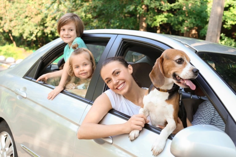 considerations for choosing the best vehicles for families