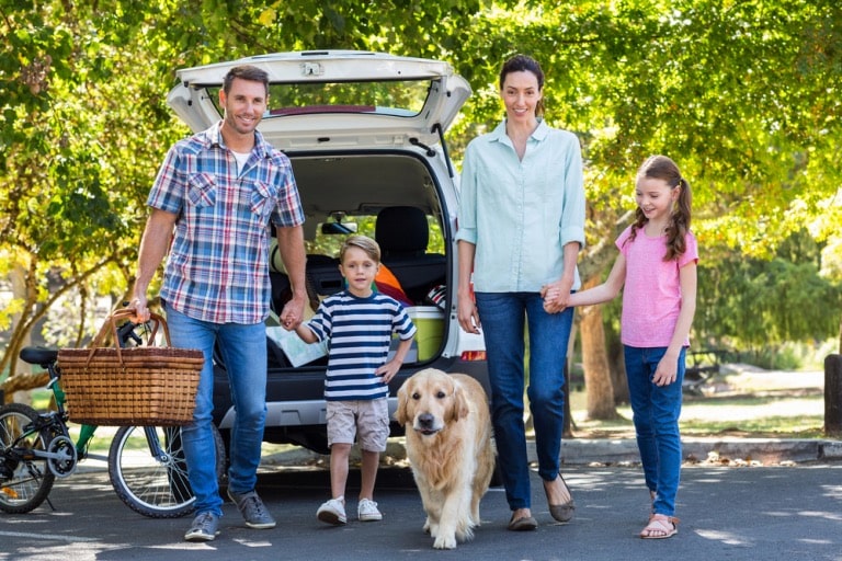the ultimate guide to choosing the best family vehicle that is also luxurious
