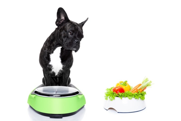 what to add to your dogs diet for better health