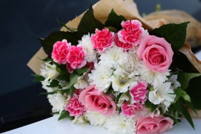 pink and white roses