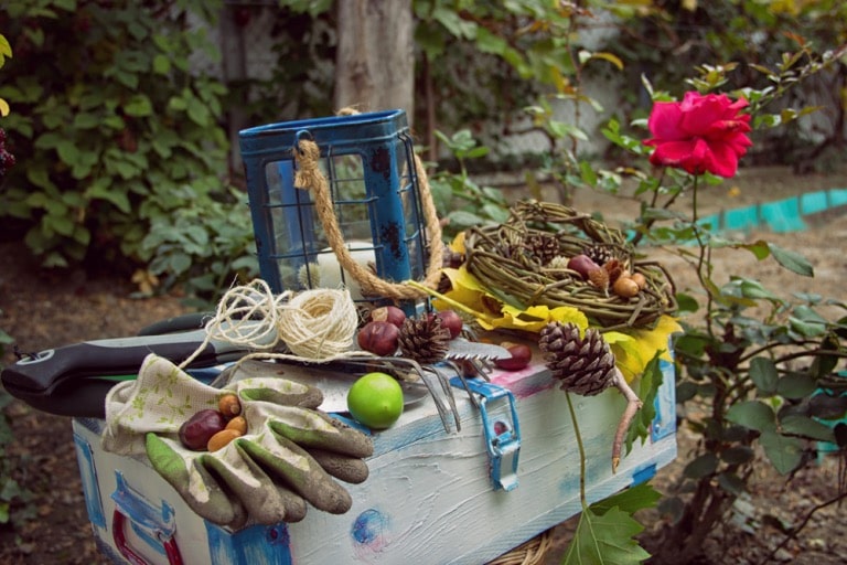 practical gardening tools you need to have this autumn